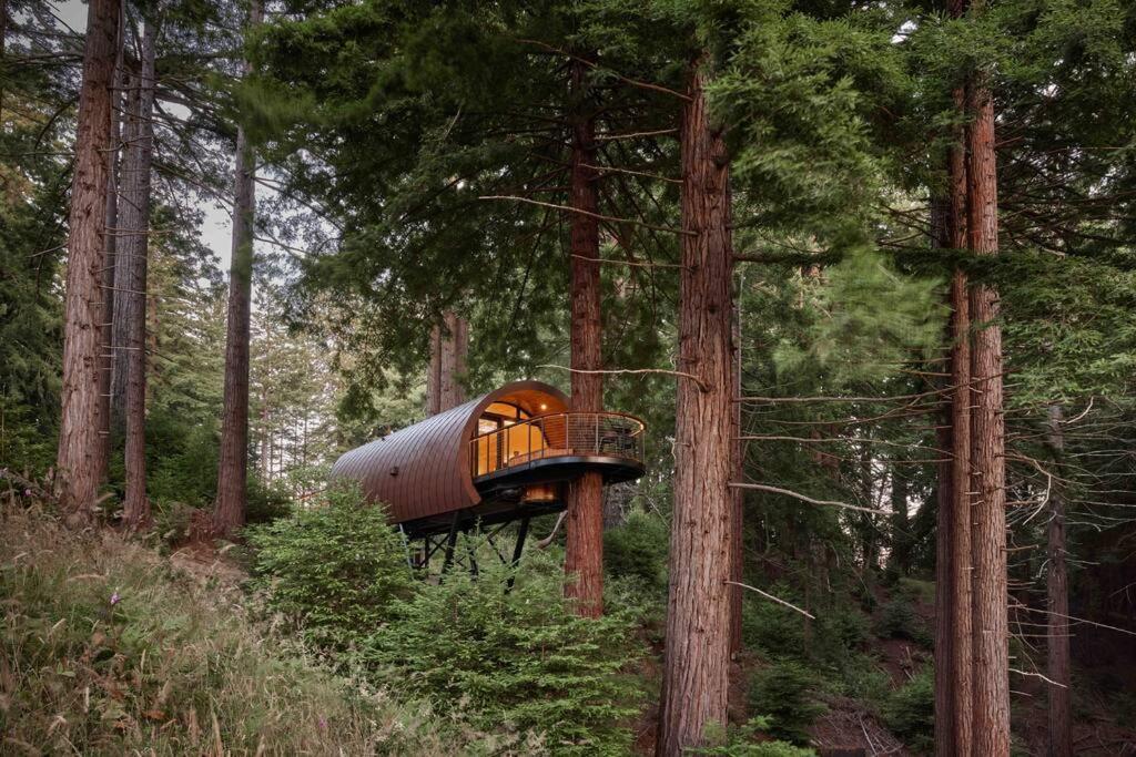 ~* The Spectacular Spyglass Treehouse *~ Оксидентал Экстерьер фото
