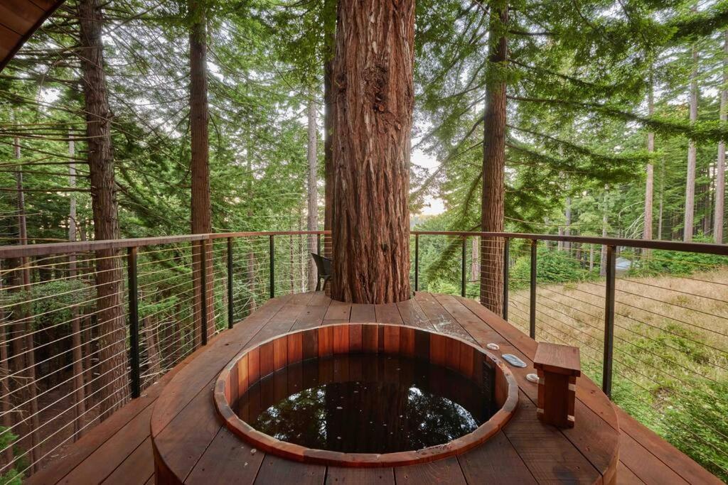 ~* The Spectacular Spyglass Treehouse *~ Оксидентал Экстерьер фото
