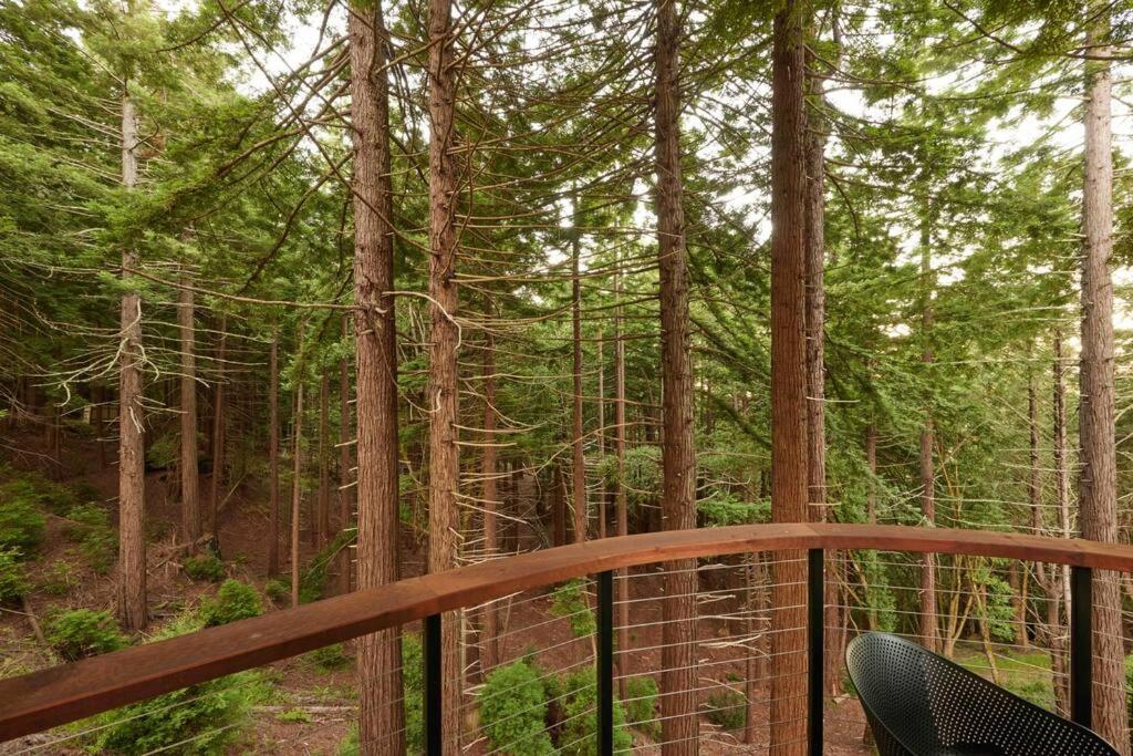 ~* The Spectacular Spyglass Treehouse *~ Оксидентал Экстерьер фото